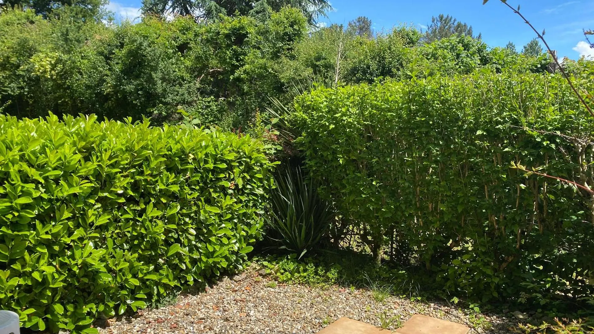 Studio Jardin Rdc 900 M Des Thermes! Cazaubon Francia